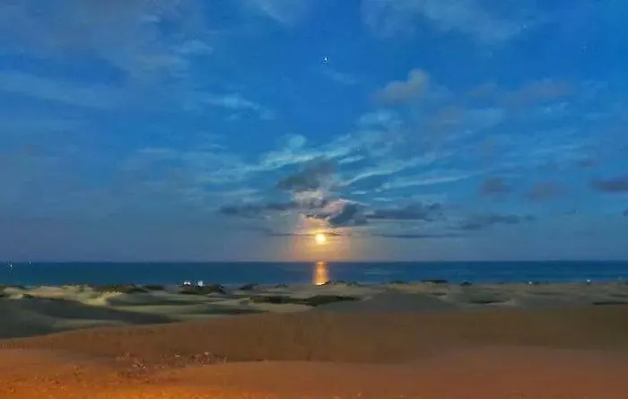 Daire Maspalomas Dunes