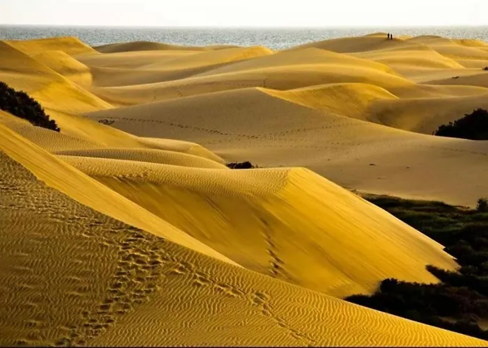 Maspalomas Dunes شقة بلايا ديل إنغلز