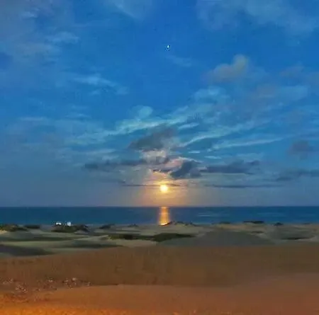 Lejlighed Maspalomas Dunes