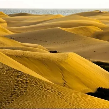Maspalomas Dunes Lejlighed Playa del Inglés